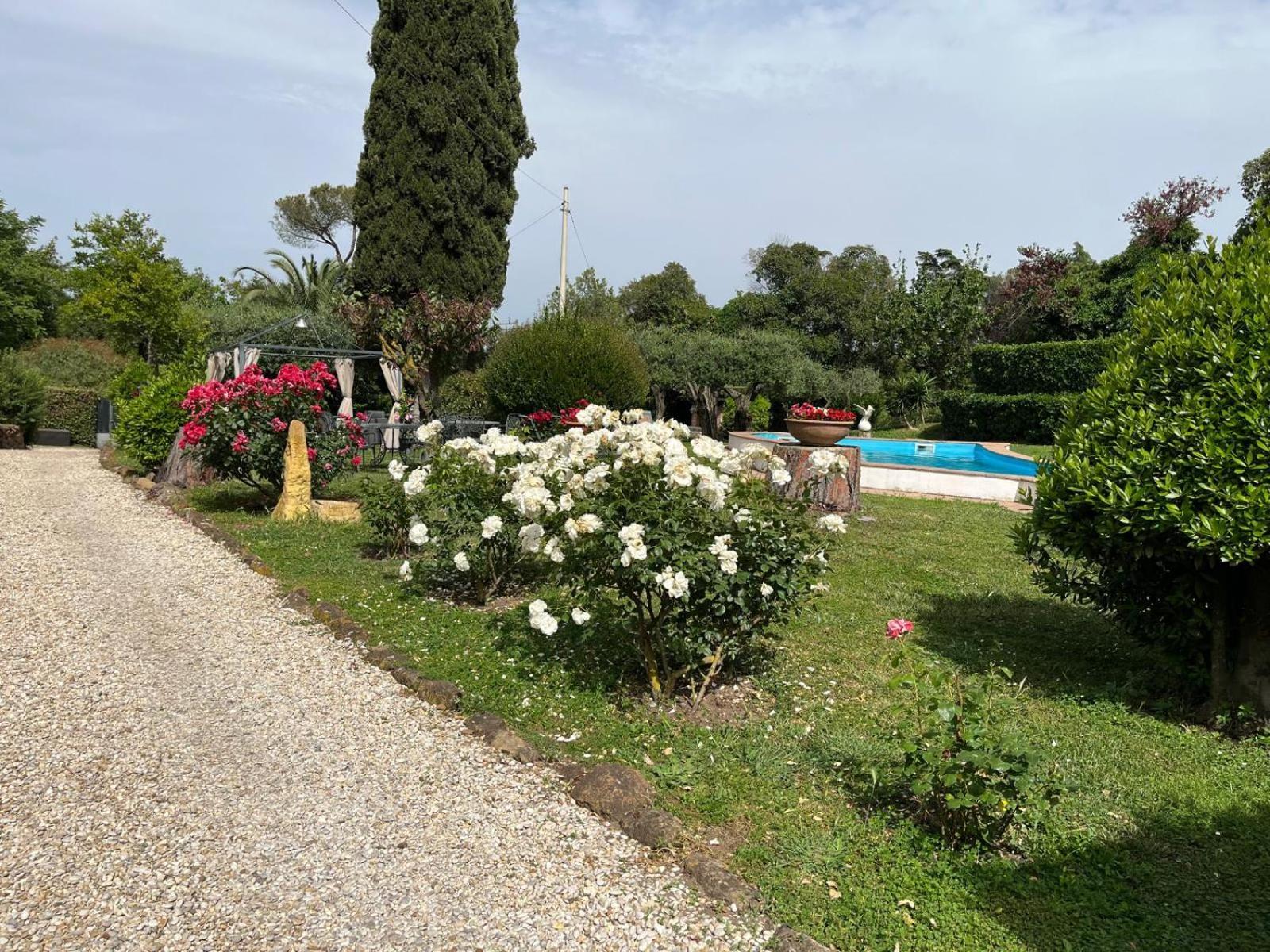 Loft Appia Antica Donna Eugenia Apartment โรม ภายนอก รูปภาพ